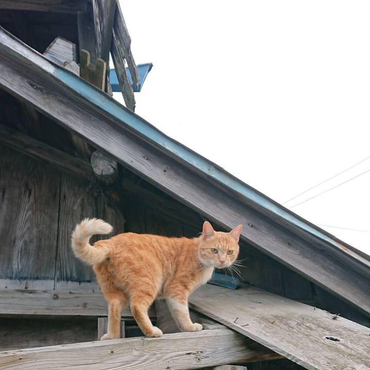 143a4e31 c7d1 405c ad91 634ec2263147 1590400374531