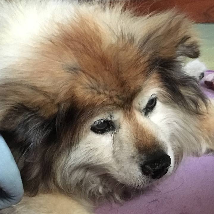 143abd64 5de9 4212 8ba9 7ff7723b9f48 1577410241397