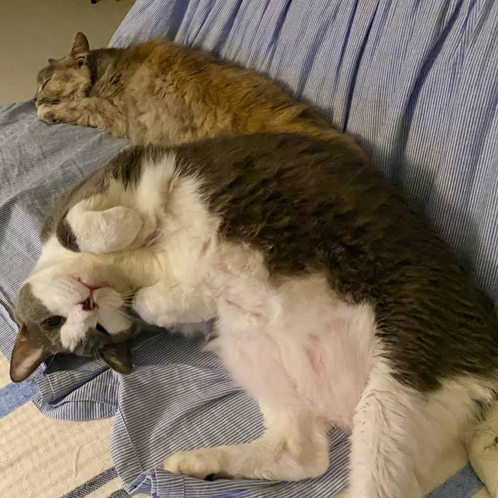 143ac22e 8eb3 44a4 a85f d684bd8ea6af 1756994508167