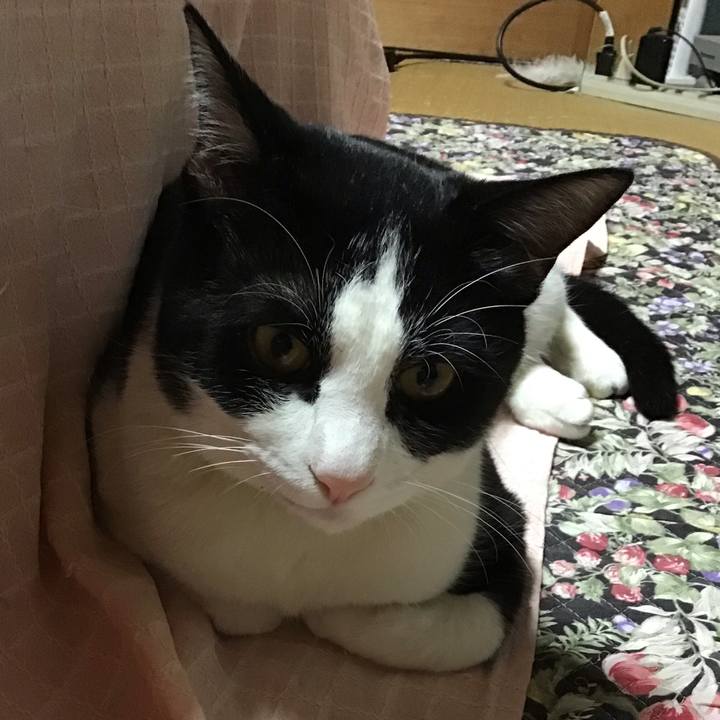 143afaee d0b0 439a a4d8 5a4d94a0fe00 1646996413199