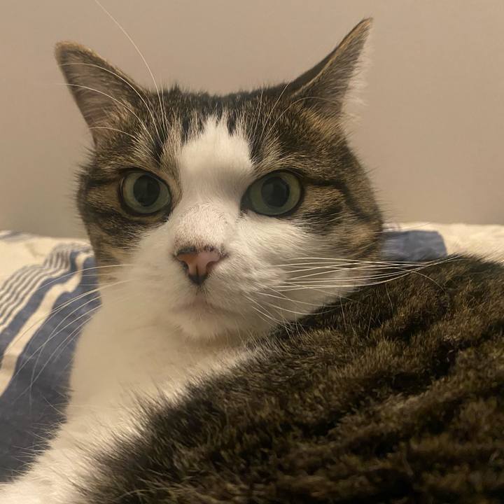 143aff66 567e 471d bced b0308459ae76 1728122648248