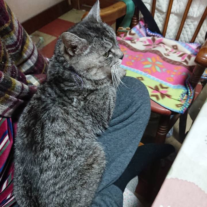 143b0d54 3a28 4bdc b7f4 d65b07636958 1578885294611