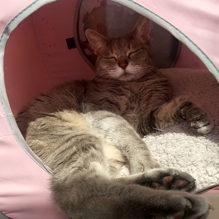 143b3970 68bd 4bfc 9eef 149864c58e16 1618017280888