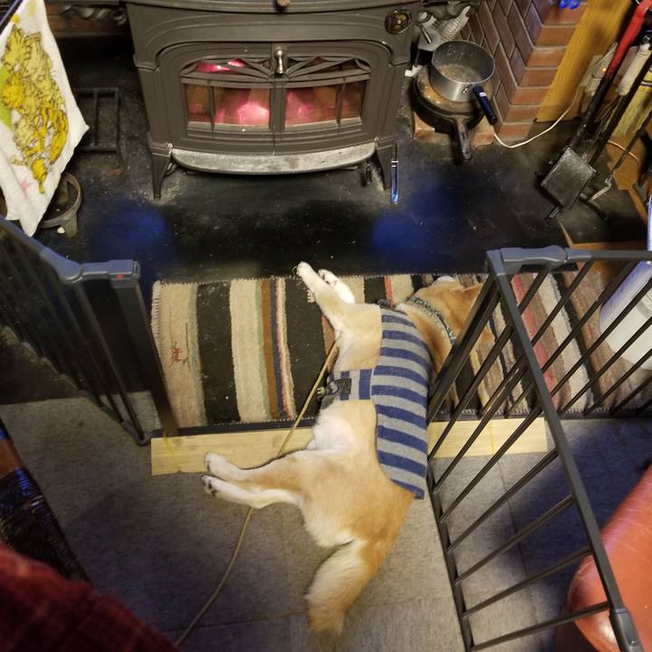 143b45ce 94a4 4848 b90b 1129ccbc3056 1706515949670