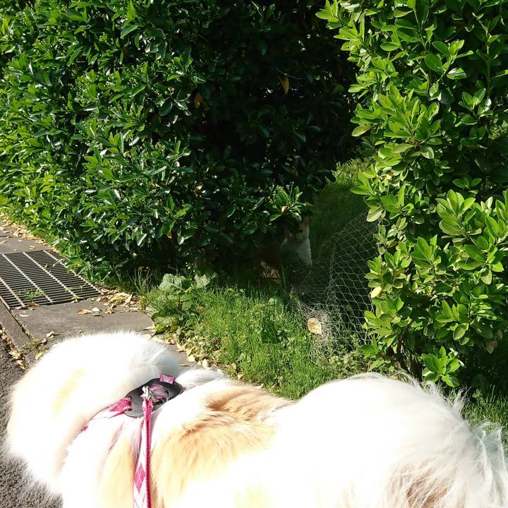 143b5015 b52c 4e62 af8d 2023de2095de 1524957323903