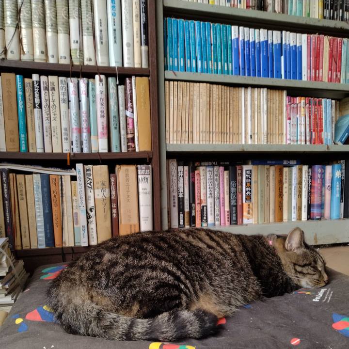 143b59c3 0fe5 4cda 8867 736f0d35f776 1665382421465