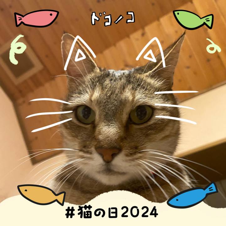 143b798b bb86 4d27 9181 a542c338a2f6 1708553011717