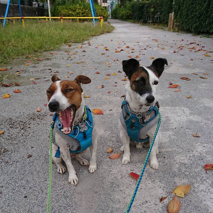 143bc083 f9d0 4ae3 a493 2927dd810b21 1604711125316