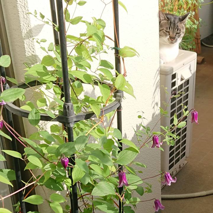 143bd338 9a07 4b18 a467 cd5b14794999 1559254376925