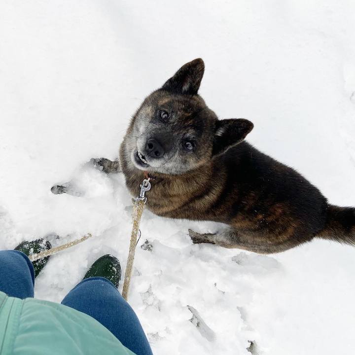 143bd5f5 45ea 4a77 9de9 48c4da66f6d9 1609717235879