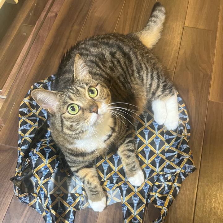 143bec0d 09a0 4dac ae37 ac2f1f33eda7 1748517843617