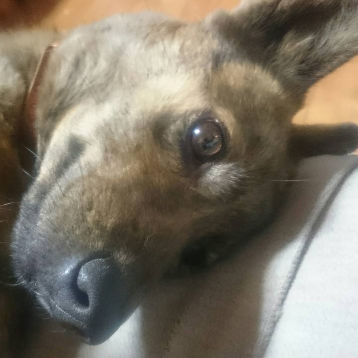 143becd8 80ef 4f7c a23c a877473341f4 1523101533514