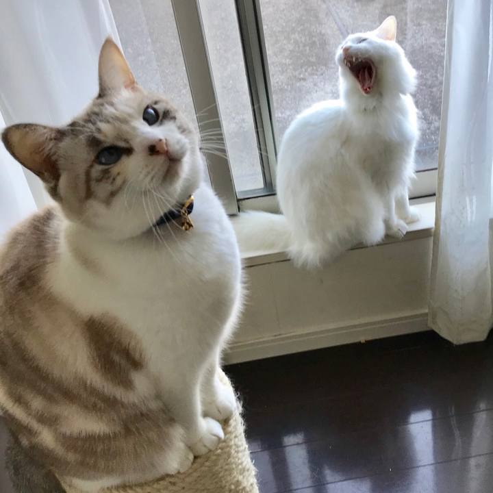 143c7bf8 4dfa 4657 a722 622b13ad99d9 1542971071451