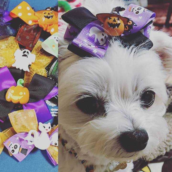 143cae5e cbc6 48b4 be7a 9302c4f39048 1601705181434