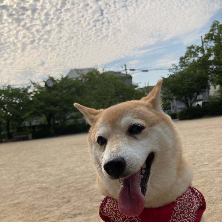 143cd8b1 5b35 4070 95fe c3c9340ae697 1628168747360