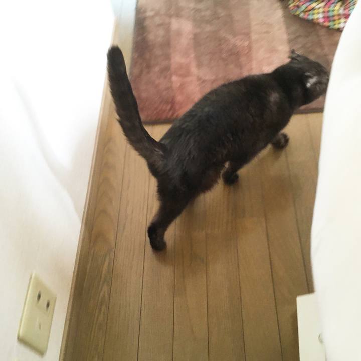 143d24a6 3288 434c 8da6 8cdf97f5c66e 1585377527643