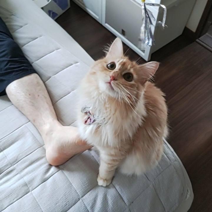 143d2528 b7d4 4dc0 98e1 db4347a2763a 1658440939238