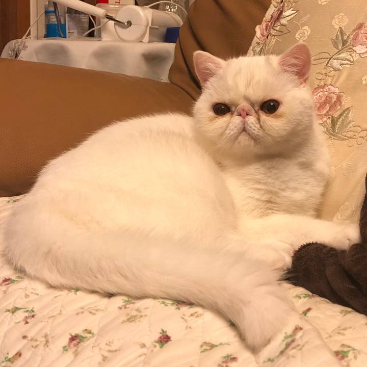 143d41e5 de84 44d0 87d3 c8c1ce87d50a 1570709969852