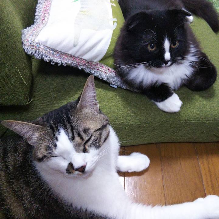 143d43d8 c6f1 4fa5 91dc fe9726851d60 1646214503620