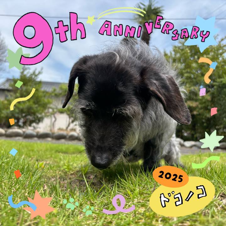 143d4f83 fb49 4f6b 8fc0 8ad8744b12ac 1749251247806