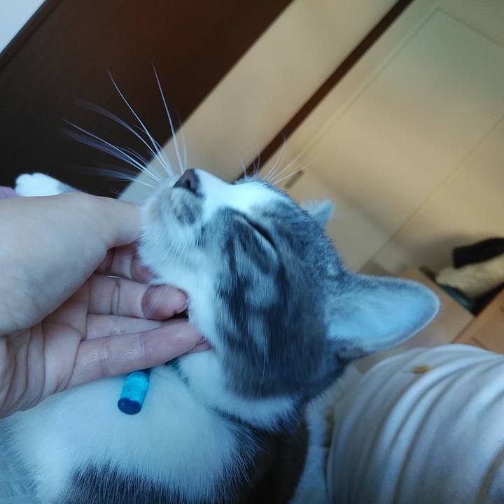 143db33f 8e8b 4698 bc50 845fd37b8469 1573168424499