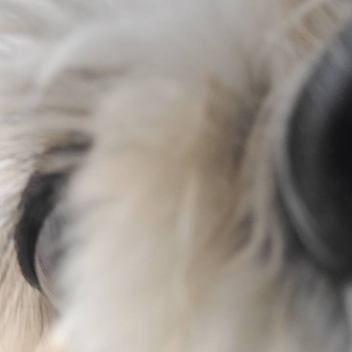 143dba6d f008 4180 b507 8f99f2775213 1700869880335