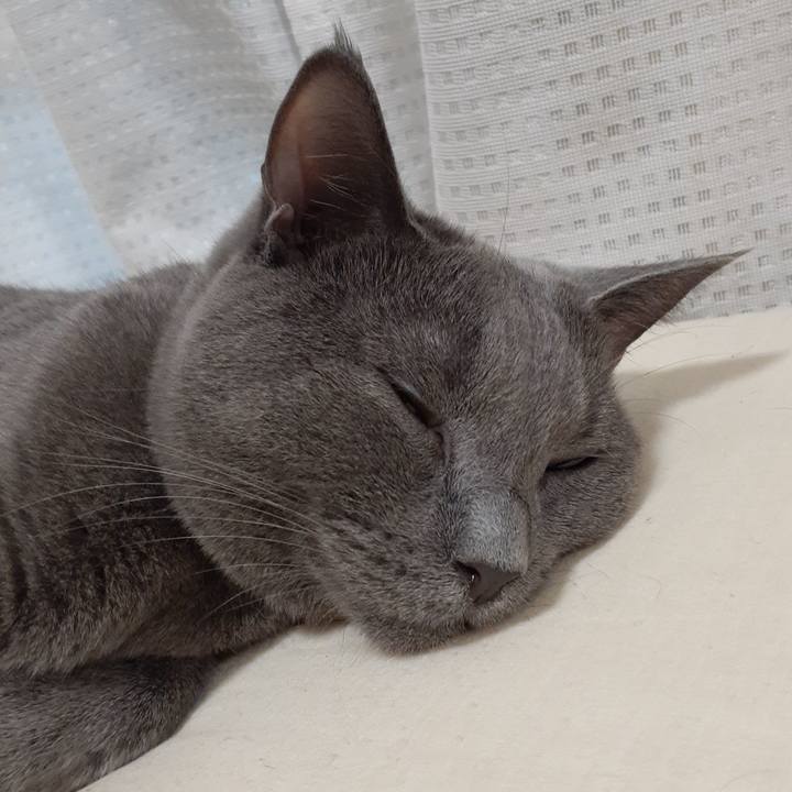 143df4ef 1acd 4fb7 998f 7996e05275a5 1633220114071