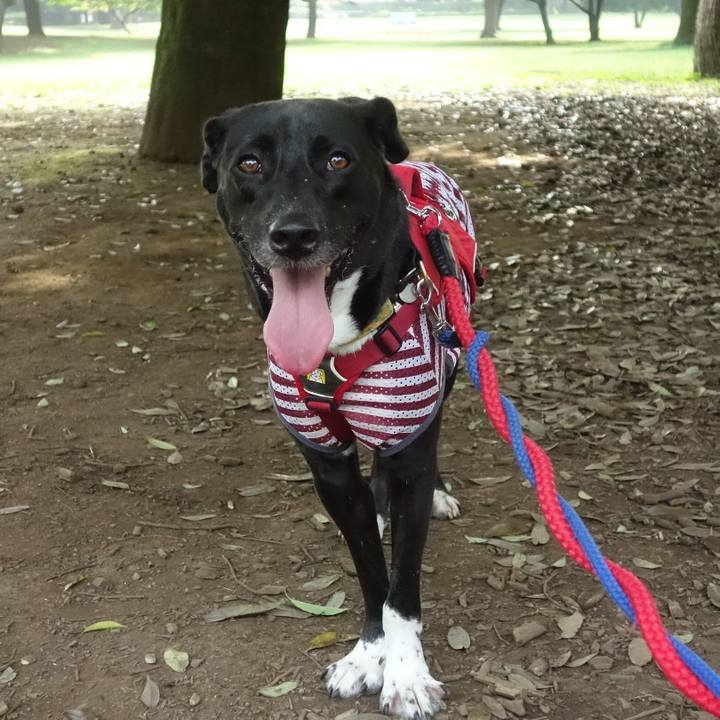 143e1125 e095 485b 88dd af38ee7066d9 1597017006493