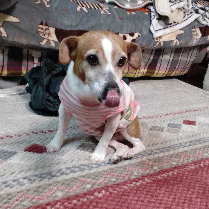 143e43fe 5998 48ea ad8d 9a012ab1678a 1772720698979