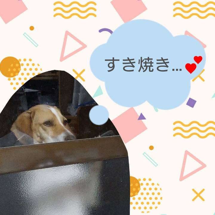 143e50da 0310 4fdf 86fb 6ceb0438c12c 1587555566504