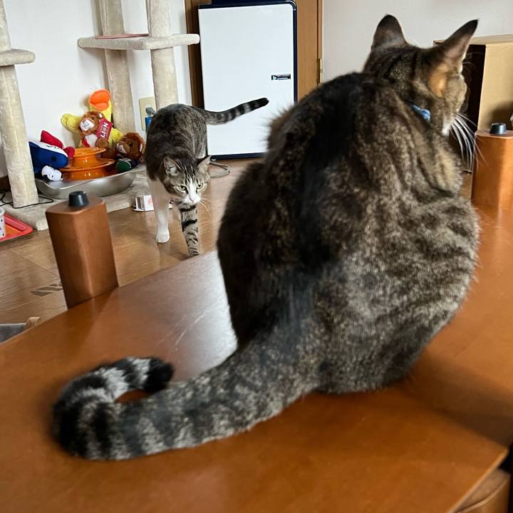 143e7640 8b69 4bb2 9022 1521e613068a 1721797196883