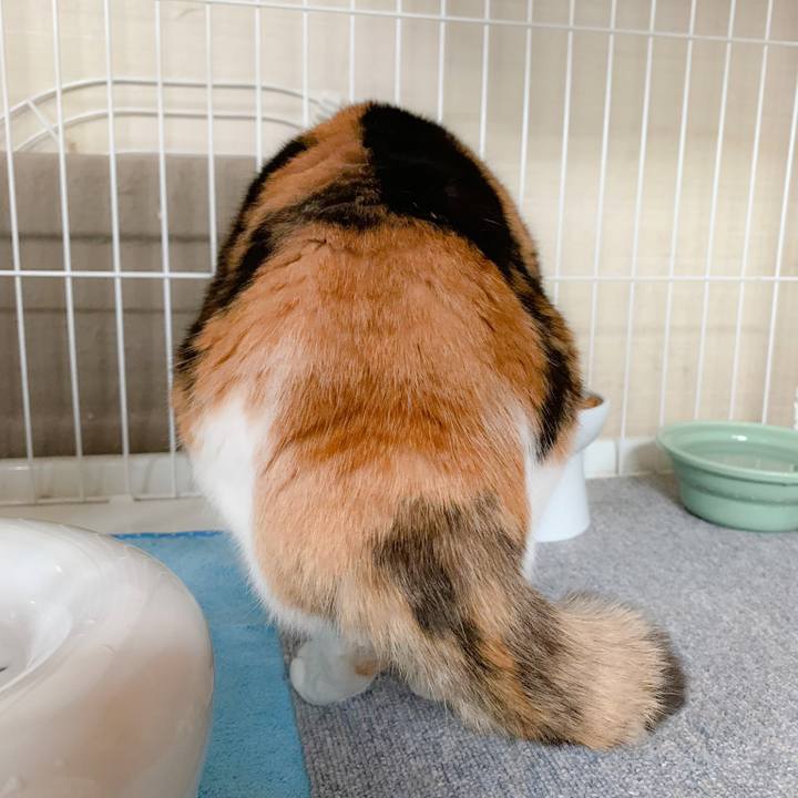 143e7c7c eb2b 4c85 a89a 2ad5ba1d3678 1557713286525