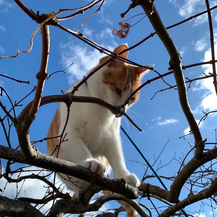 143ec5ed d8da 4702 ae4b add620a355a3 1577506412992