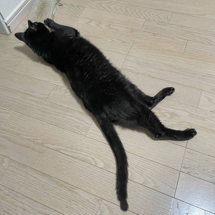 143ecaa8 e309 4d29 8172 1a09ab25b0b0 1654262449838