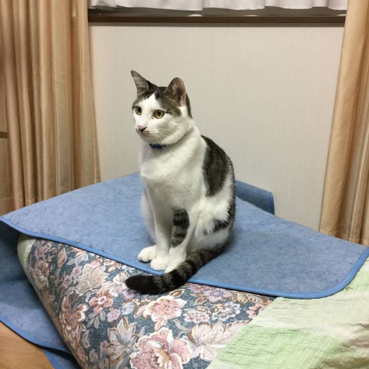 143ede54 57c1 4379 a14b 4ba0c5bd9a45 1509115246473