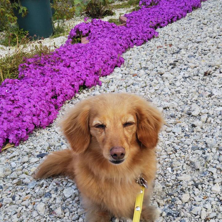 143ee528 9143 4b83 a0e8 fcbfd452f717 1586937706519