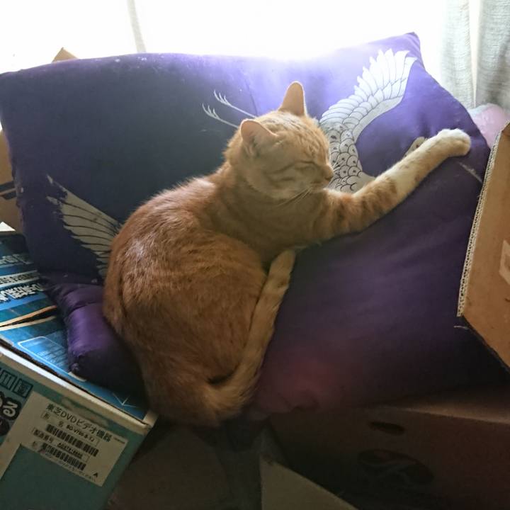 143f0152 e4d9 4b63 bfbb 123aed6ced76 1597044135288