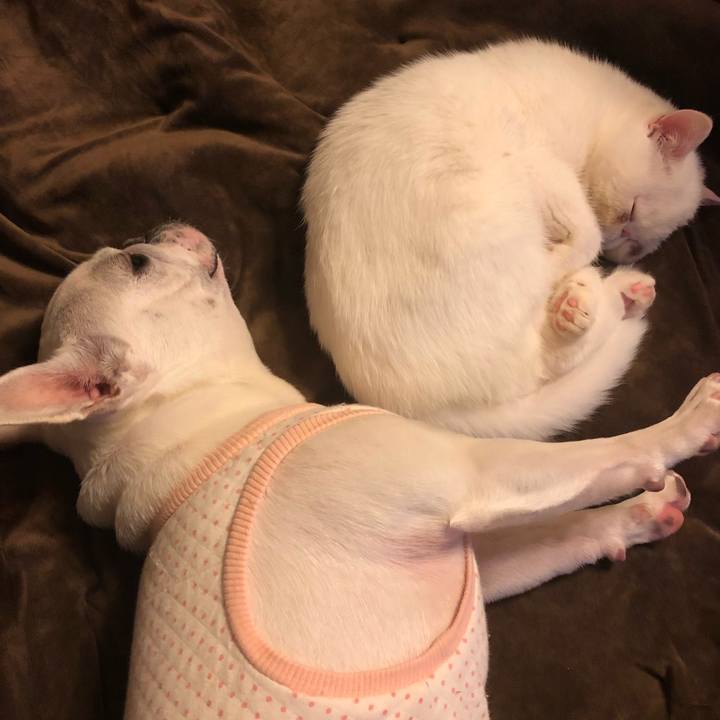 143f067a 5988 49b3 a5cd 84f78bd25d8a 1554040450906