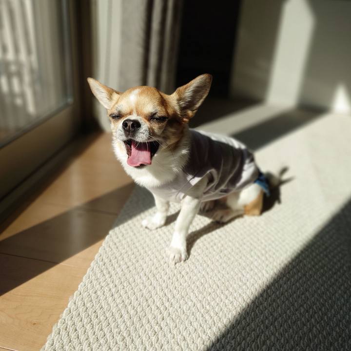 143f0b82 5567 48f5 98bd 8d2da9ddc5c4 1678927597928