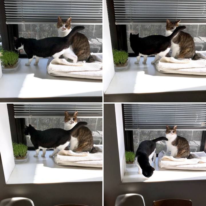 143f56ab b1f1 4baf b7ab 354c2bee6edb 1522307540487