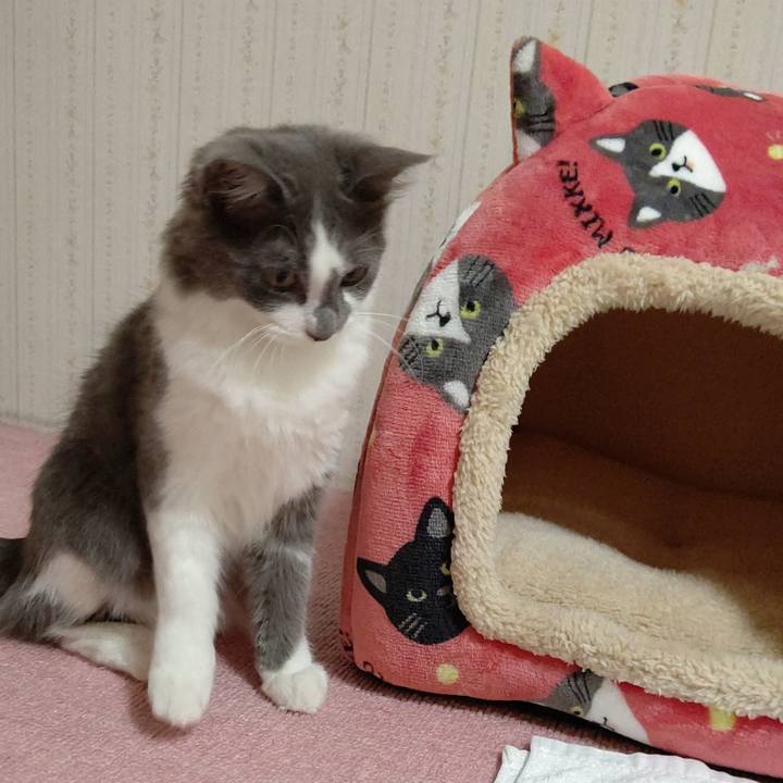 143f608e ed75 4a46 9d95 bdd90a89755d 1570968682742