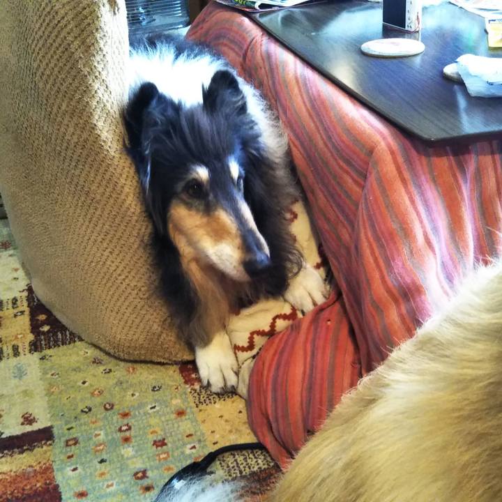 143fb544 da91 4029 b3a6 131b224bf8f3 1617269700947