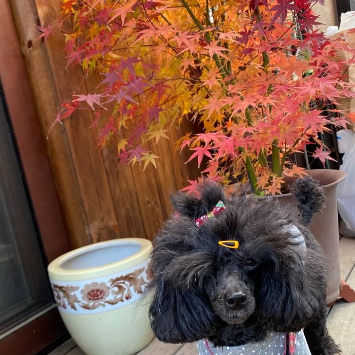 143fc96f d07c 499d 8cf9 3ae0e8d6de78 1639014631487