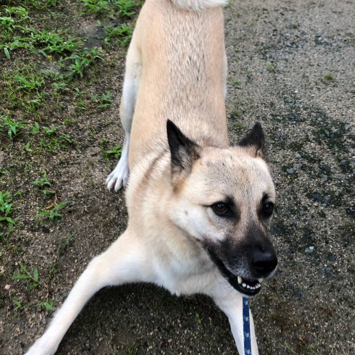 143fd4ef 7a10 4853 9d59 ff7494579720 1566982589828