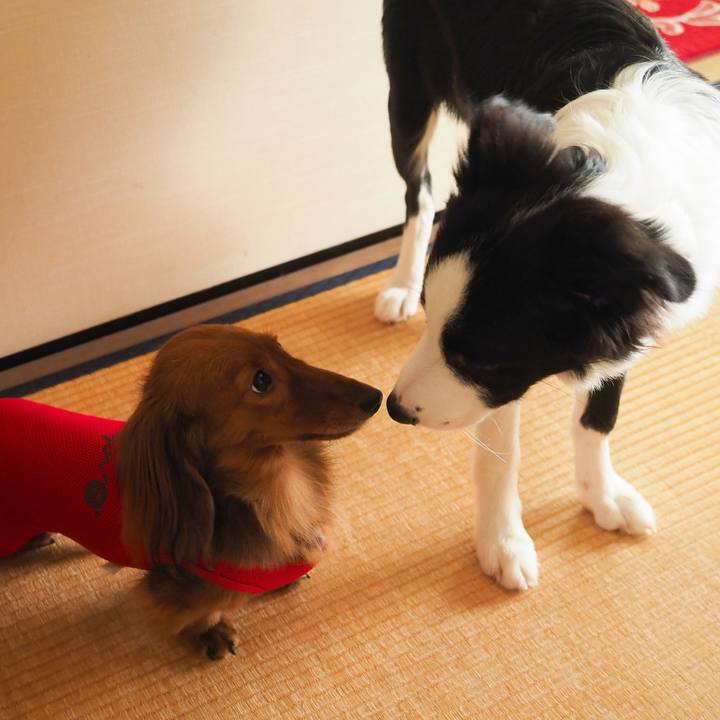 143fd4f0 d41f 4095 8432 1425b789aade 1757251978755