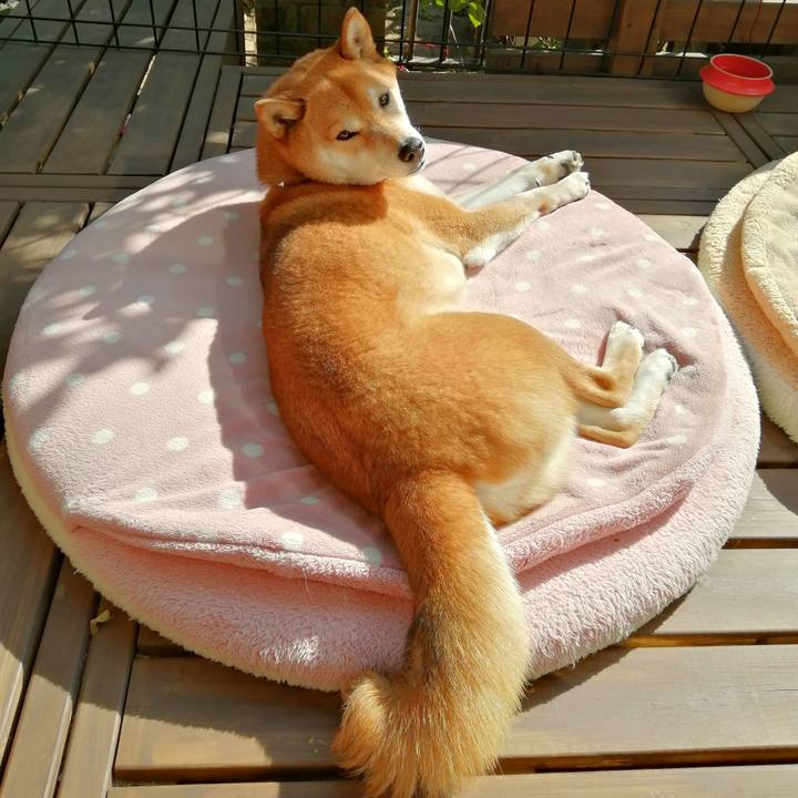 143fd7e3 5cbb 4cd9 9f4a 1b7c8f9ce17c 1647342000750