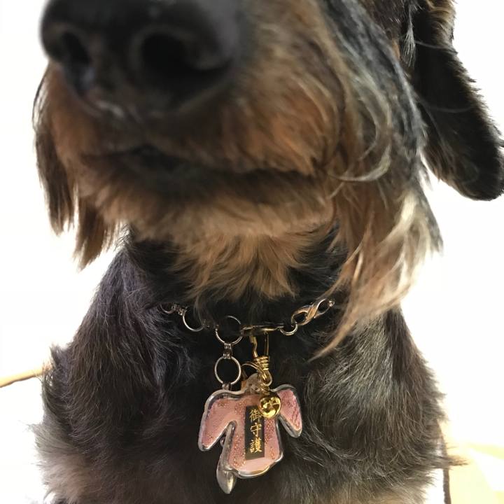 14400600 dc03 4a04 a94e 442033aa6500 1515928611489