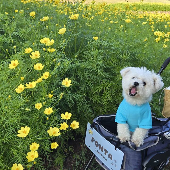 14401dca bf51 48db ab6a d5e75e1683c0 1757127438616