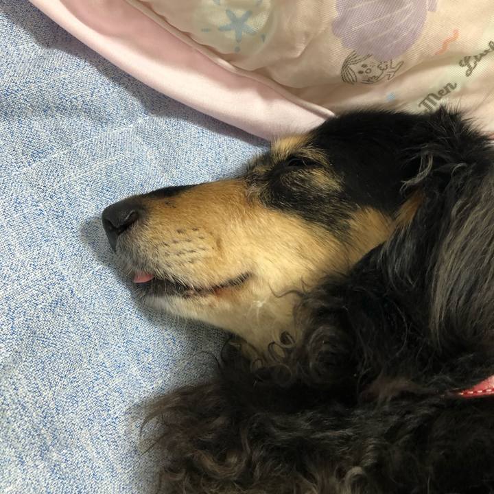 14402838 0ff4 4c30 b341 97864a286065 1626358243903