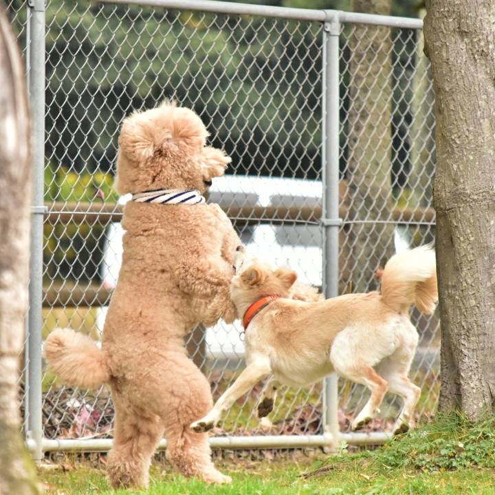 1440723d dfac 4725 91e2 80cdd1f2bbd5 1514098263760